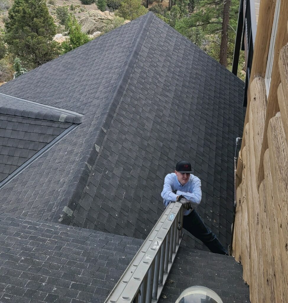 Pest control worker on a roof