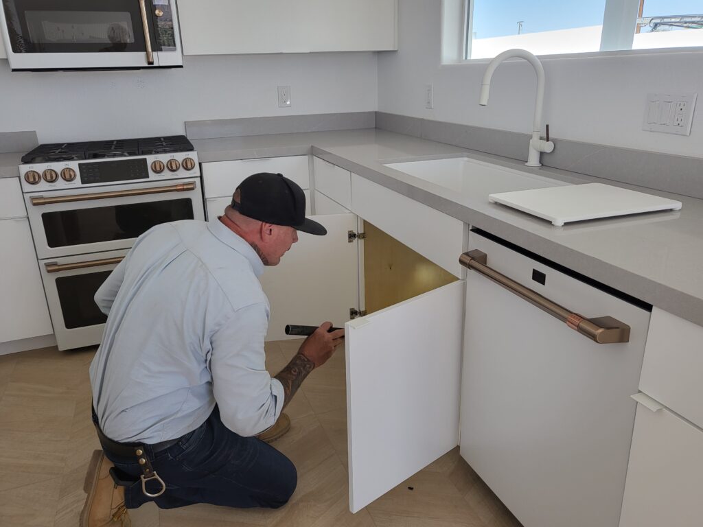 Looking for pests under the sink